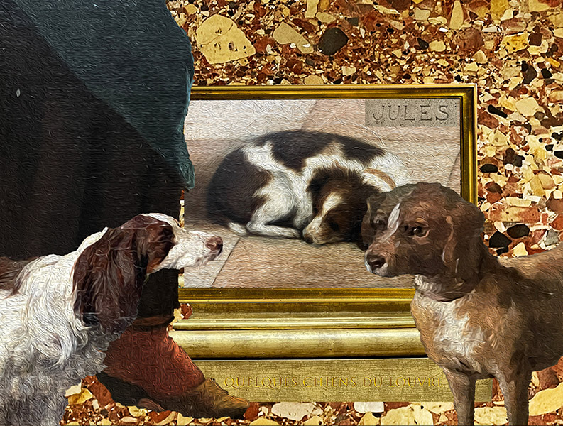 les chiens du louvre